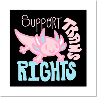 Trans Rights Axolotl Posters and Art